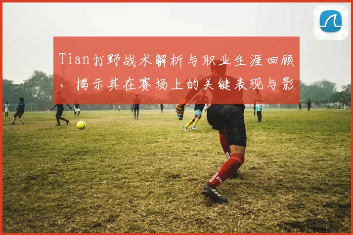Tian打野战术解析与职业生涯回顾，揭示其在赛场上的关键表现与影响力