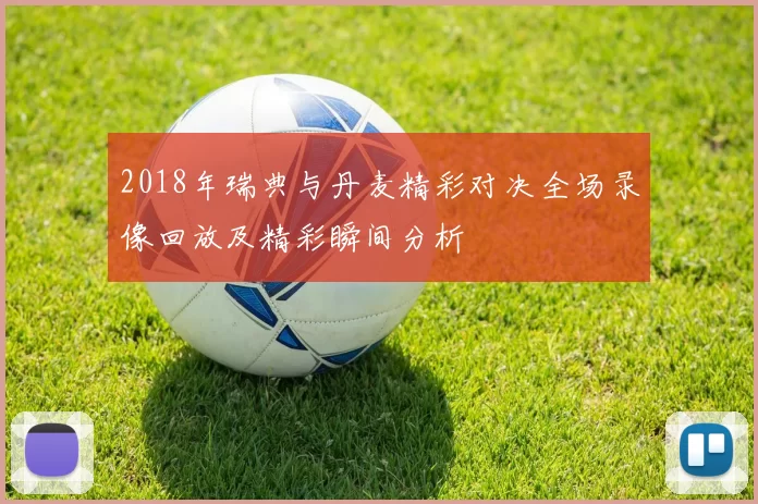 2018年瑞典与丹麦精彩对决全场录像回放及精彩瞬间分析